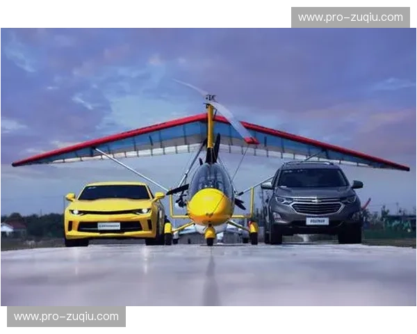 速度与激情的碰撞：当“夏洛特黄蜂”遇见“萨克拉门托国王”，一场关于纯粹篮球的终极较量